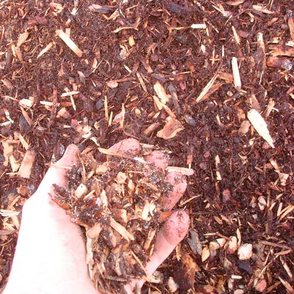 Hemlock Mulch it has a red color, and is the second most