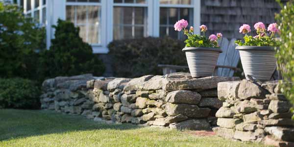 Dry Laid Stone Wall with Flowers
