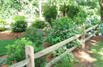 Farmer’s fence with plantings