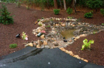 Dry Retention Pond 3