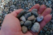 3/4″ Round River Stone – bulk product comes mixed with soil and may need to be washed before spreading.