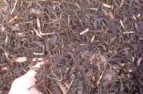 Dark Pine Mulch – Most common mulch used in landscape. It holds its color very well, and blends well with landscape.