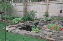 Backyard water feature