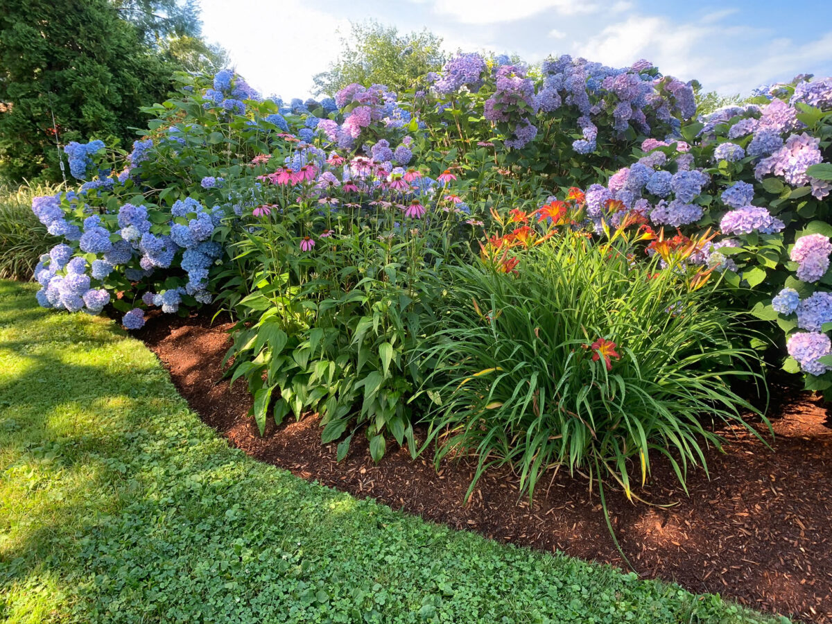 Ernst Front yard Plantings Cape Cod Landscaper