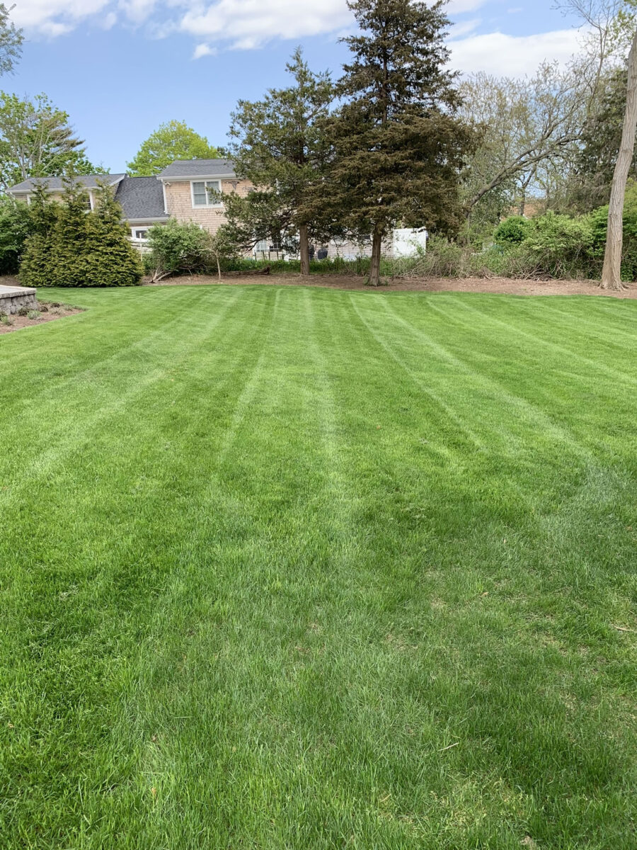 Kelley Rear Lawn Cape Cod Landscape