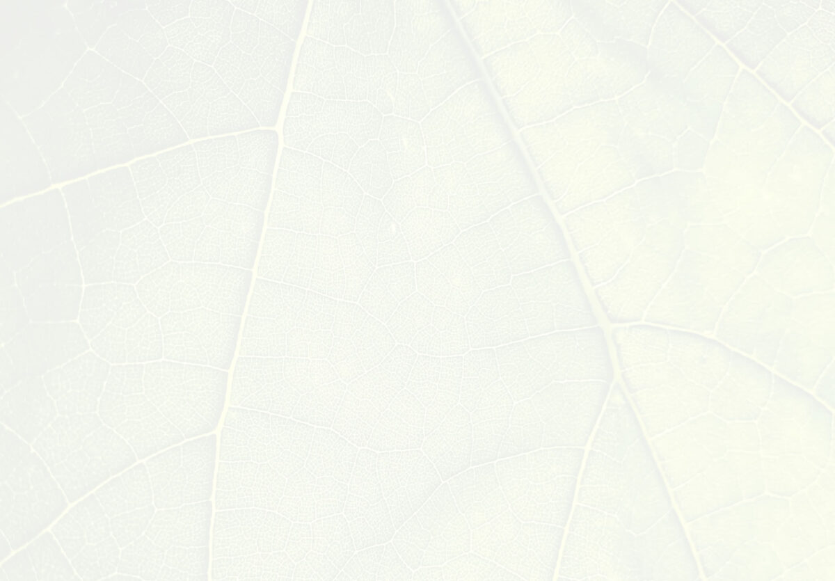 leaf-texture-2