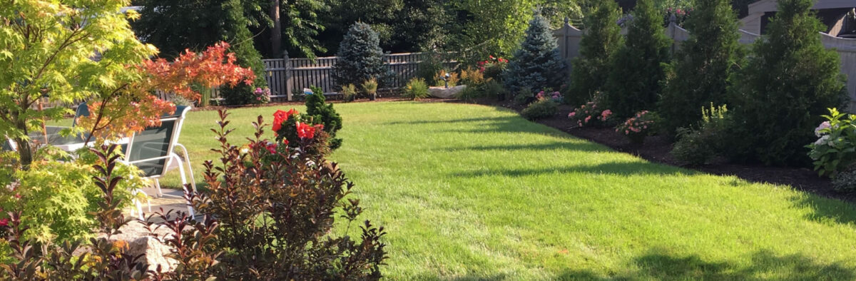 cape-cod-landscape-design-dennis-orleans